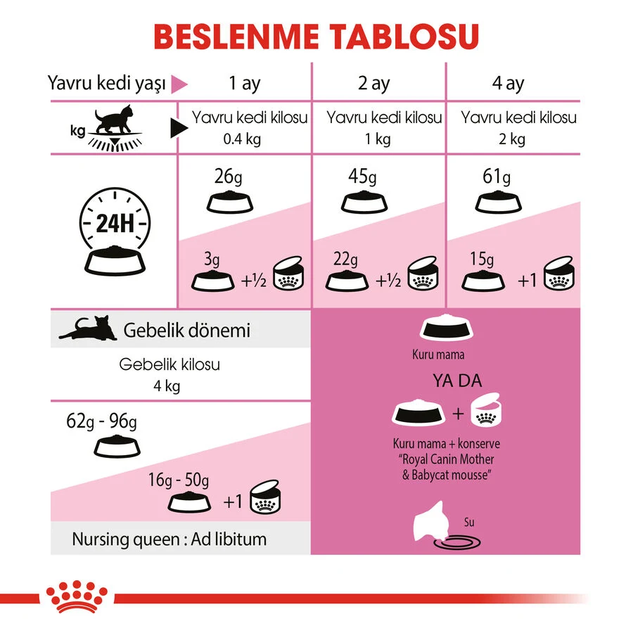 Görsel küçük resim 8